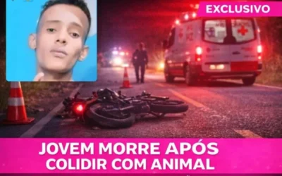 A Polícia Militar de Minas Gerais, por meio de sua 11ª RPM, foi acionada, na madrugada desta segunda-feira (2), a comparecer ao km 83 da MG-401, em Verdelândia, para atender a um acidente de trânsito com óbito. Ao chegar ao local, a guarnição deparou-se com uma equipe do Serviço de Atendimento Móvel de Urgência (Samu) que prestava atendimento a um motociclista, de 18 anos, o qual havia colidido com uma vaca que estava na pista. A motocicleta, uma Honda CG 150 Titan KS, sofreu danos. O motociclista não resistiu aos ferimentos e foi a óbito no local, enquanto o animal ficou ferido. A perícia técnica da Polícia Civil foi acionada e realizou os trabalhos de praxe.