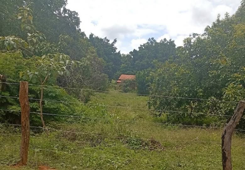 Violência em Japonvar: Idoso de 85 anos é assassinado a pauladas na zona rural