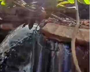 DENÚNCIA: Esgoto "in natura" da Copasa contamina o Rio Cochá e revolta moradores em Montalvânia