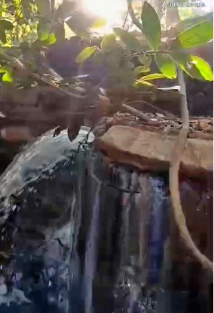 DENÚNCIA: Esgoto "in natura" da Copasa contamina o Rio Cochá e revolta moradores em Montalvânia