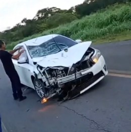 PERIGO NA PISTA: Cavalo morre após ser atropelado na MGC-135 entre Januária e Itacarambi