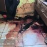 Homem é preso em Bocaiuva por matar sobrinha; suspeito já tinha condenação por feminicídio