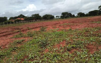 ABANDONO: População de São João das Missões cobra conclusão de estádio parado há 3 anos