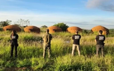 Operação Kodama: Polícia Civil desarticula esquema milionário de lavagem de dinheiro no setor de carvão em Taiobeiras e região