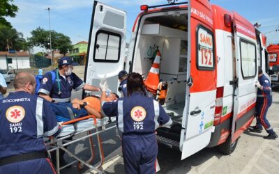 Tragédia no Vale do Jequitinhonha: Homem morre após ataque severo de enxame de abelhas em Jordânia