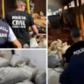 Combate ao Tráfico: Polícia Civil incinera meia tonelada de maconha no Vale do Jequitinhonha