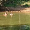 Tragédia em Jaíba: Bombeiros localizam corpo de pescador no Rio Verde Grande