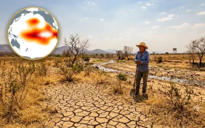 El Niño 2026 no Norte de Minas: Clima Extremo e Alerta de Seca Histórica Acendem o Sinal Vermelho na Região