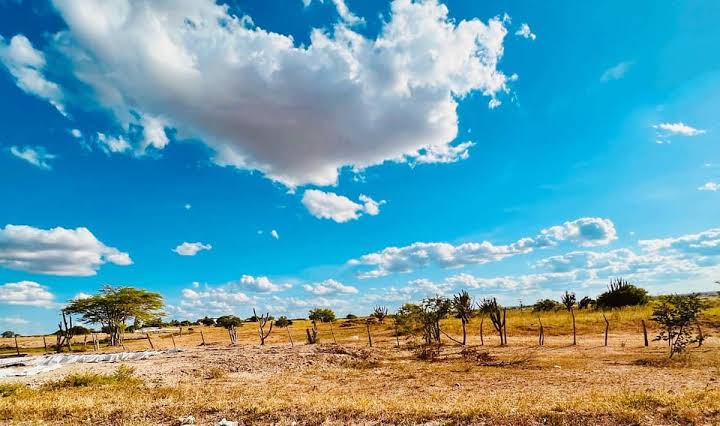 El Niño 2026 no Norte de Minas: Clima Extremo e Alerta de Seca Histórica Acendem o Sinal Vermelho na Região
