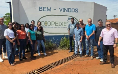 AGRICULTORES DE JAÍBA VISITAM MAIOR POLO PRODUTOR DE TILÁPIA DO BRASIL EM MISSÃO TÉCNICA DO SEBRAE