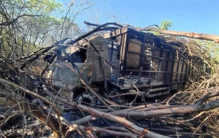 TERROR NA MGC-122: Caminhão Boiadeiro Bate em Árvore, Pega Fogo e Deixa Motorista Ferido em Janaúba