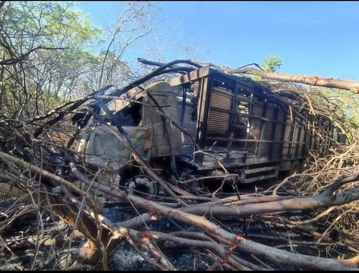 TERROR NA MGC-122: Caminhão Boiadeiro Bate em Árvore, Pega Fogo e Deixa Motorista Ferido em Janaúba